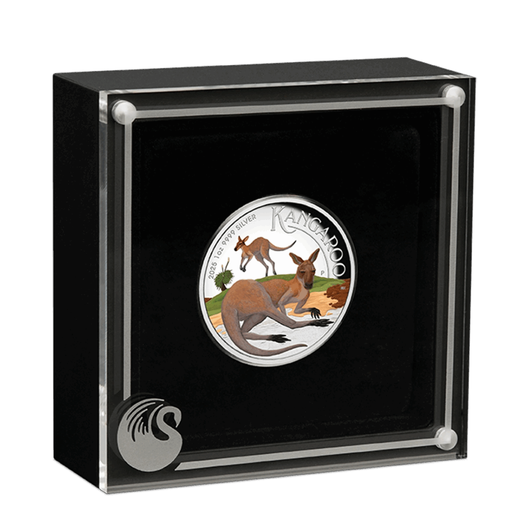 La moneta Australia 2025 Canguro 1 oz Argento Proof Alto Rilievo Colorato, raffigurante due canguri con un paesaggio, è mostrata in verticale in un cofanetto quadrato nero con fronte trasparente e logo del cigno nell'angolo.