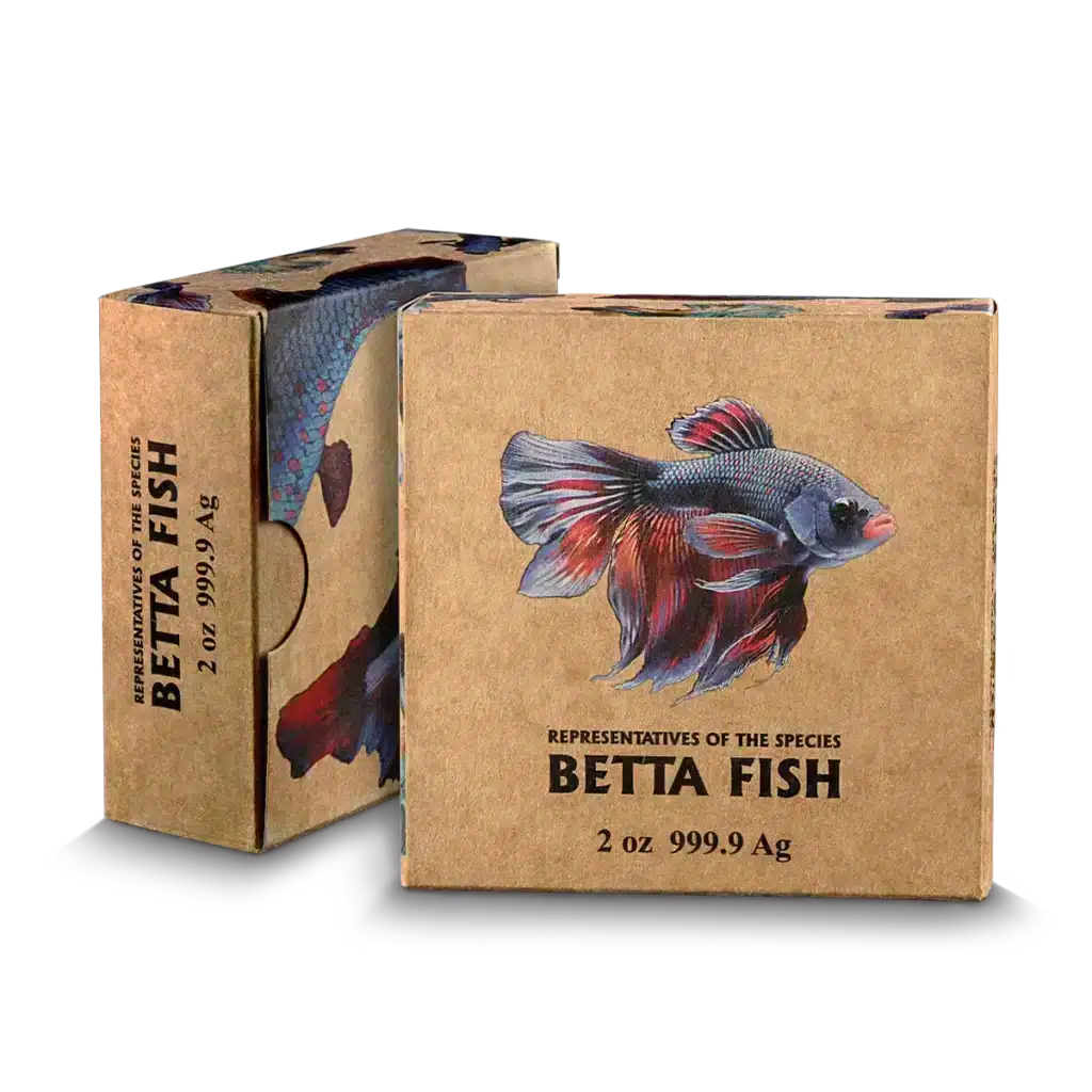Two brown boxes labeled "Betta Fish" feature colorful betta fish art. The front reads: Niue Island 2024 Betta Fish 2 oz Silver High Relief, suggesting the boxes contain silver collectibles.