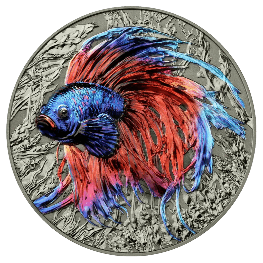 La moneta Isola di Niue 2024 Pesce Combattente 2 oz Argento Alto Rilievo mostra un coloratissimo pesce Betta con pinne blu, viola e rosse su uno sfondo d'argento testurizzato con piante acquatiche.