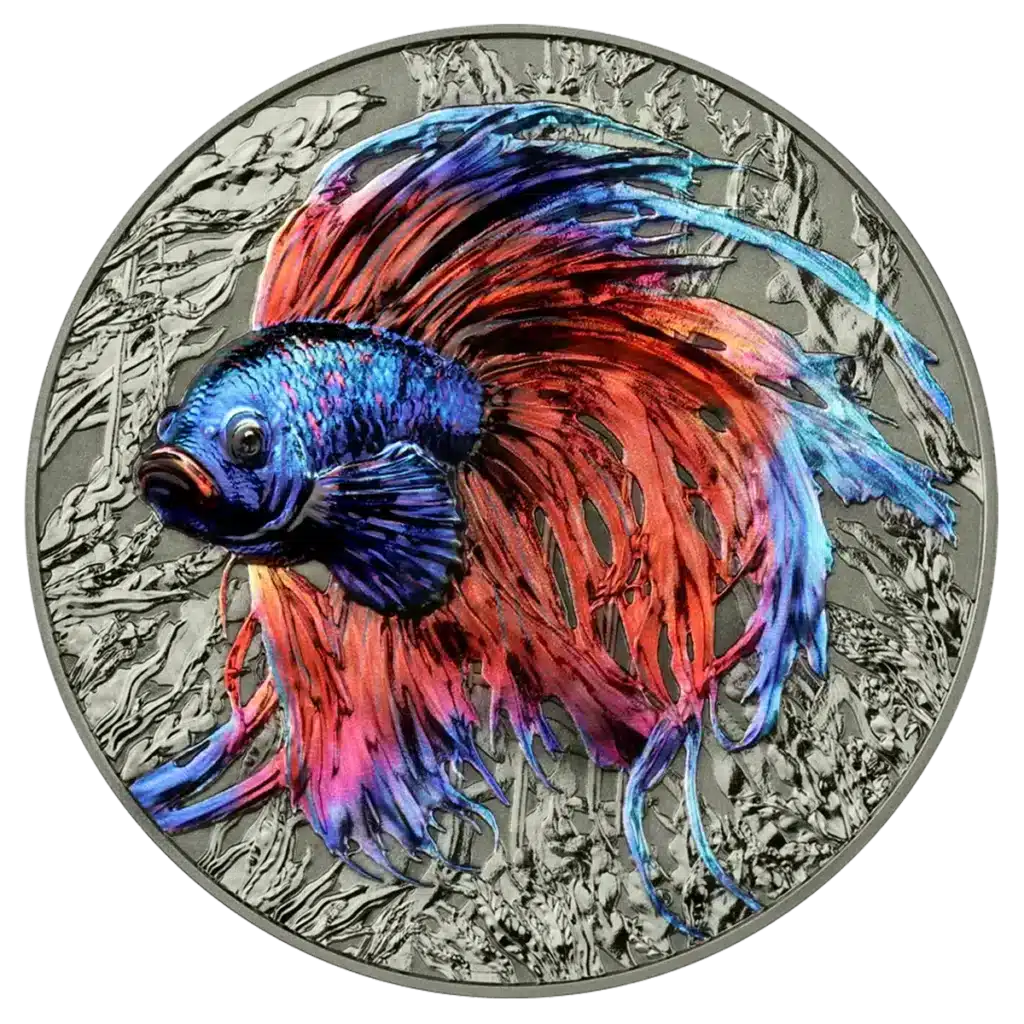 The Niue Island 2024 Betta Fish 2 oz Silver High Relief coin features a vibrant betta fish with flowing blue, red, and purple fins against an engraved aquatic plant background on a round silver surface.