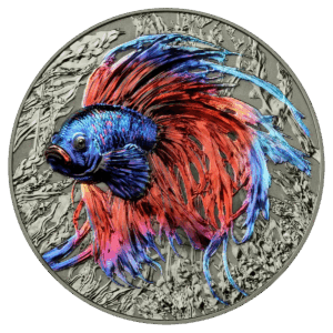 La moneta Isola di Niue 2024 Pesce Combattente 2 oz Argento Alto Rilievo mostra un coloratissimo pesce Betta con pinne blu, viola e rosse su uno sfondo d'argento testurizzato con piante acquatiche.
