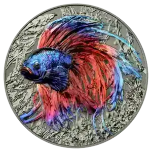 La moneda Isla Niue 2024 Pez Betta 2 oz Plata Alto Relieve muestra un vibrante pez betta con aletas azules, moradas y rojas sobre un fondo plateado texturizado que imita las plantas submarinas.