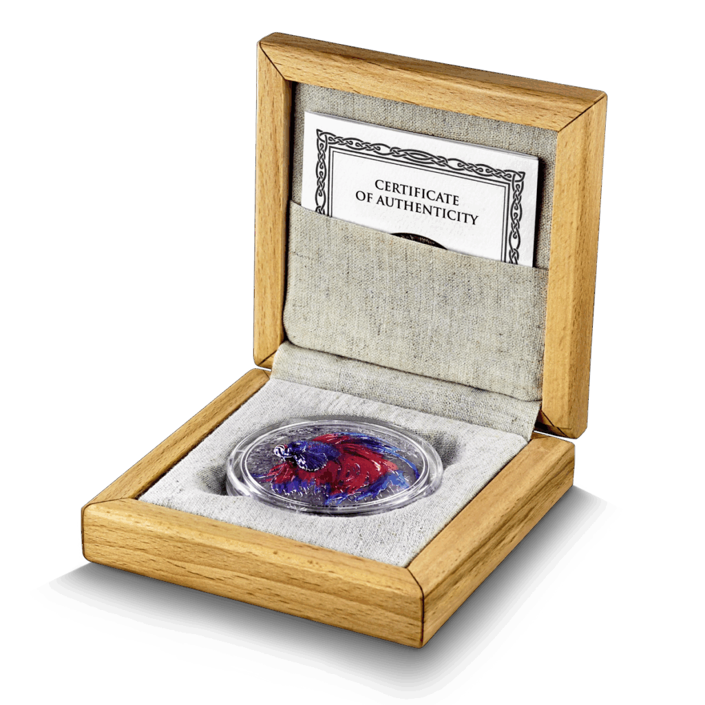 Il cofanetto aperto in legno con interno in tessuto leggero espone la moneta Isola di Niue 2024 Pesce Combattente 2 oz Argento Alto Rilievo, con un certificato di autenticità posto dietro di essa.