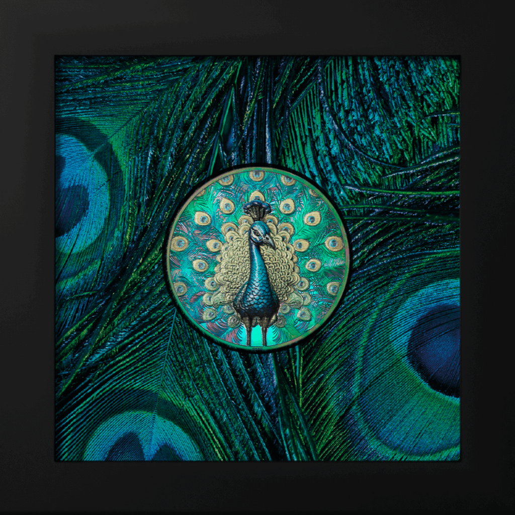 Moneta argento 1oz da collezione "Shades of nature spectrum peacock 2025" raffigurata insieme al suo box.