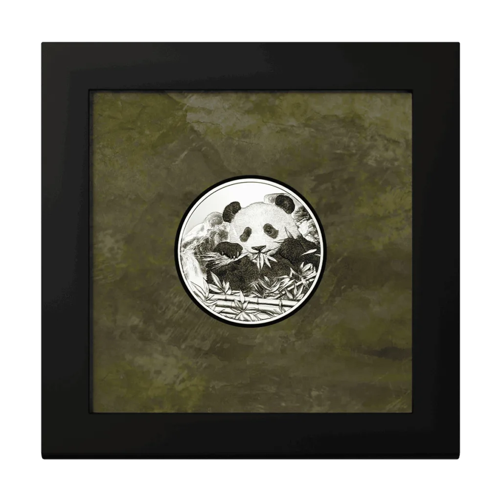 Moneta panda in argento 1 oz 2026 presentata in confezione da collezione con cornice espositiva