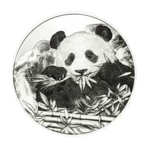 Moneta in argento 1 oz 2026: panda gigante inciso mentre mangia bambù in ambiente naturale