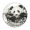 Moneta in argento 1 oz 2026: panda gigante inciso mentre mangia bambù in ambiente naturale
