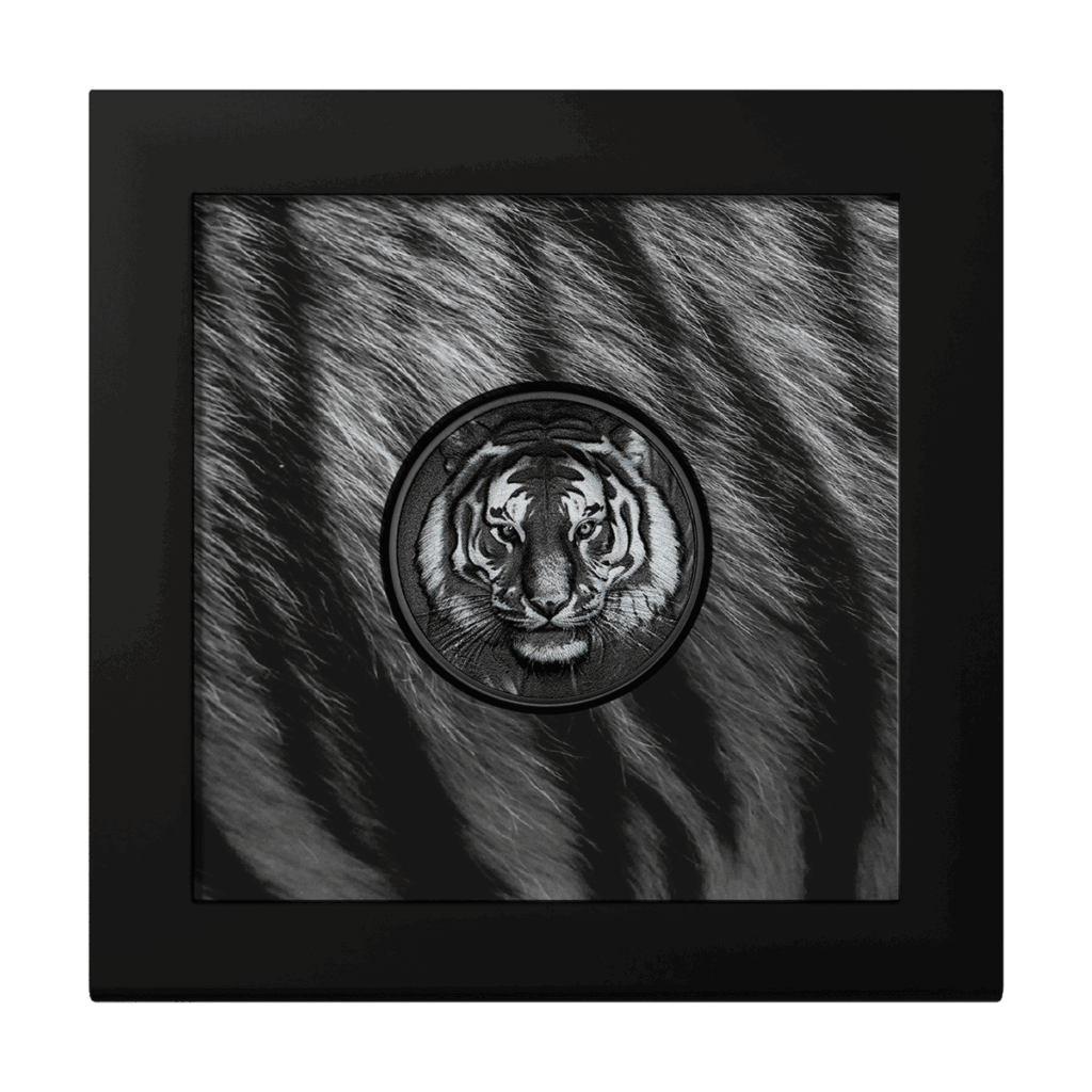Silver coin 1 oz Black Obsidian Tiger 2025 presented in a collector’s box with display frame