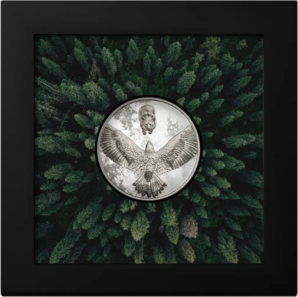 Seven Deadly Sins - Envy coin in the black display frame included in the packaging, with an aerial photo of a conifer forest.