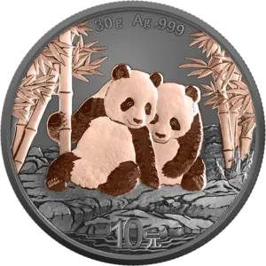 La moneta Panda Black & Pink 30 g Argento 2026 in rutenio e oro rosa mostra due panda seduti tra i bambù su rocce scure, con la scritta 30 g Ag .999 in alto e il valore 10 yuan (元) in basso.