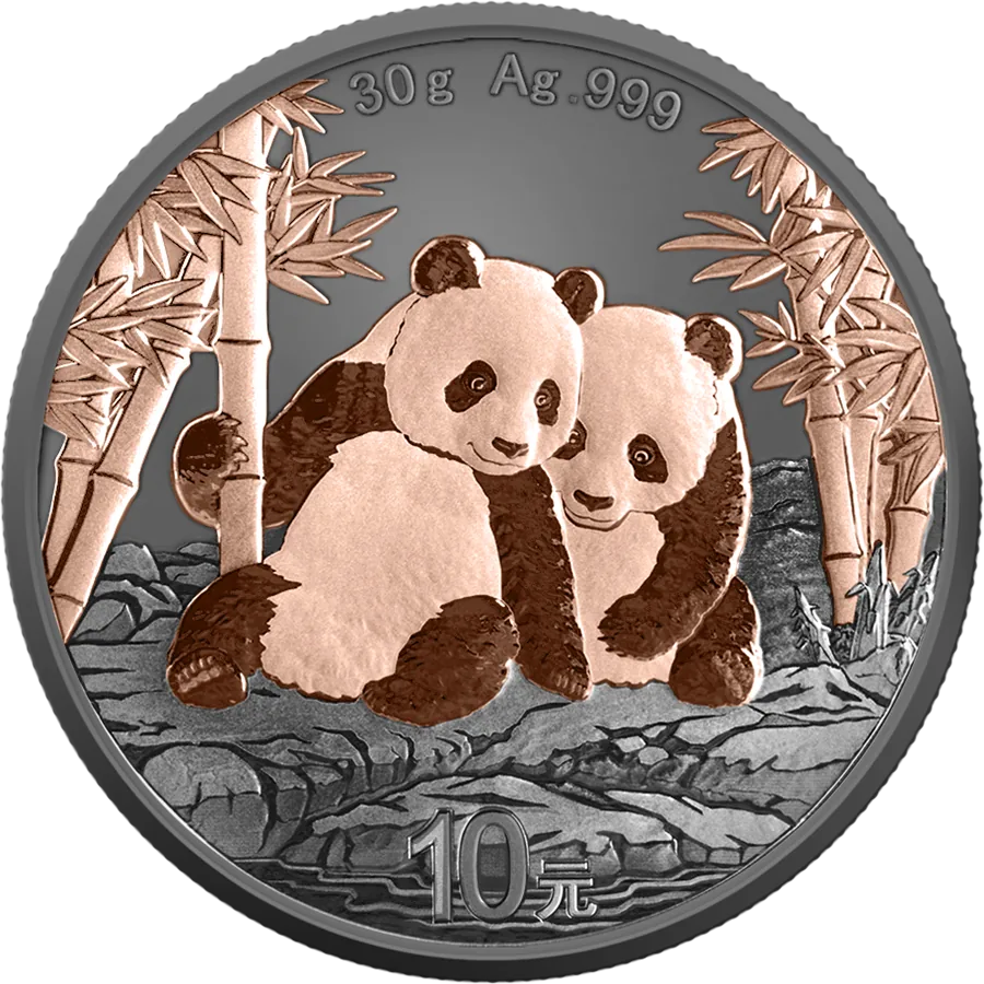 La moneta Panda Black & Pink 30 g Argento 2026 in rutenio e oro rosa mostra due panda seduti tra i bambù su rocce scure, con la scritta 30 g Ag .999 in alto e il valore 10 yuan (元) in basso.